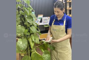 May và in tạp dề Công ty Giupviec.vn